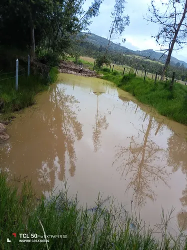 Lote En Nemocón