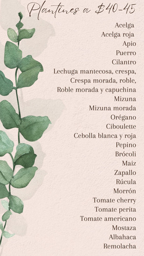 Plantines De Huerta Y Más