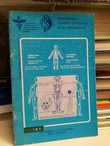 Relaciones Craneo Caudales En El Organismo - Dr. Médico A.h