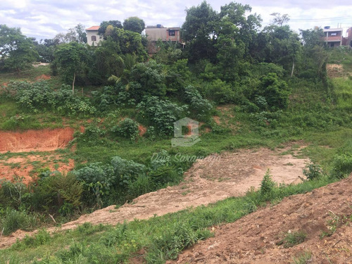 Imagem 15 de 22 de Terreno Amplo Para Desenvolvimento Imobiliário. - Te0019
