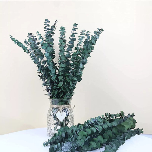 15 Folhas Secas Eucalipto Arranjo Flores Pequeñas