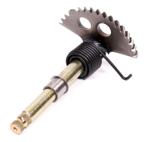 Eje Giratorio Pedal Arranque Completo Gs150 Gts175