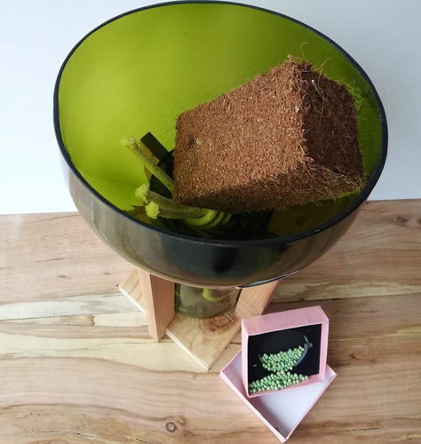 Kit Little Plant 32 Con Soporte, Maceta Autorregante