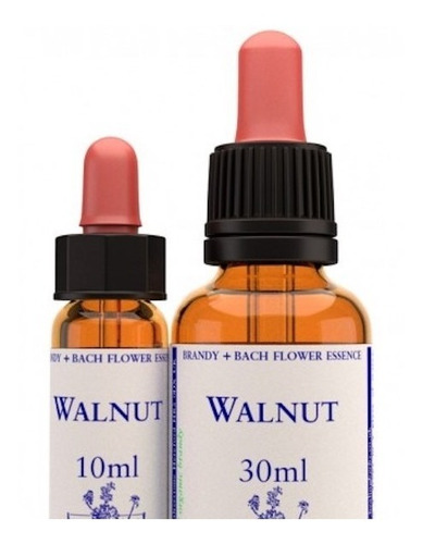 Walnut / Nogal 10ml Healing Herbs