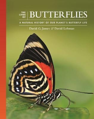 Libro The Lives Of Butterflies : A Natural History Of Our...