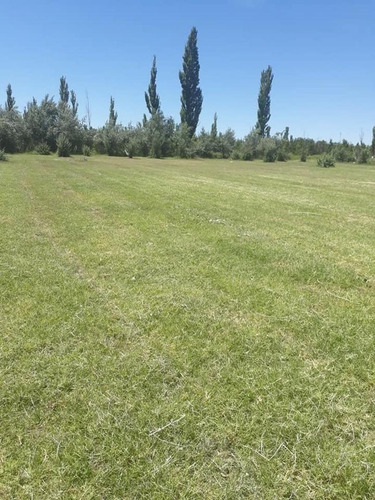 Imagen 3 de 6 de Vende Chacra En Fernandez Oro