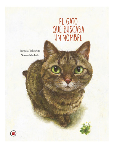 Gato Que Buscaba Un Nombre