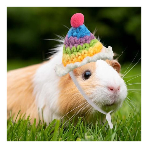 Paquete De 4 Pequeños Animales Lindo Sombrero Mini Sombrero