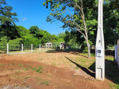 Imagem 3 de 8 de Terreno - Vila Cachoeirinha - Ref: 367552 - V-367552