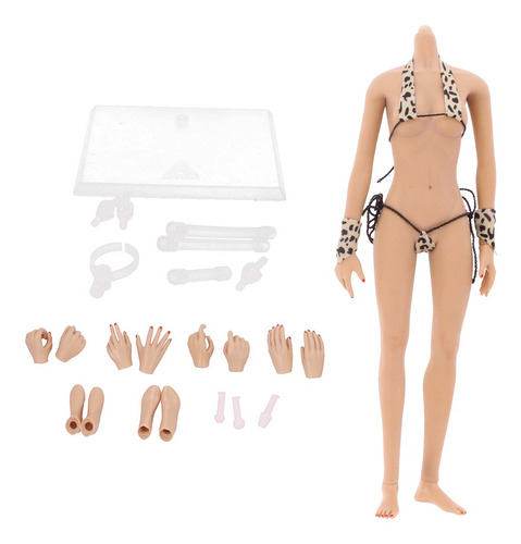 Imagen 1 de 6 de 1:6 Escala Parte Cuerpo Femenino De Vitrinas Para Figuras