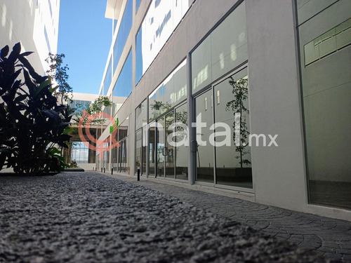 Local Consultorio En Renta Hospital Mac Santa Julia Leon