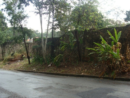 Imagem 5 de 12 de Terreno / Area - Braunas - Ref: 40498 - V-40498