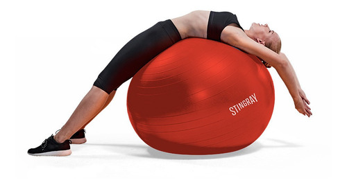 Pelota Ejercicio Pilates Yoga 65cm Con Bomba Stingray