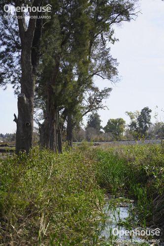 Imagen 4 de 4 de Venta Lote Barrio Parque Las Casuarinas Del Viso