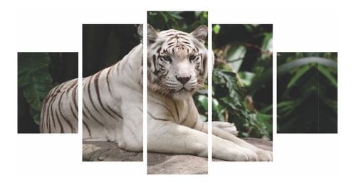Quadros Decorativos  Tigre Branco Na Floresta 115x60cm Cor n/a Cor da armação n/a