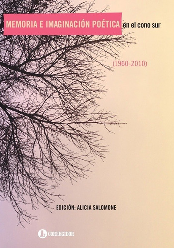 Memoria E Imaginacion Poetica En El Cono Sur 1960-2010 - Sal