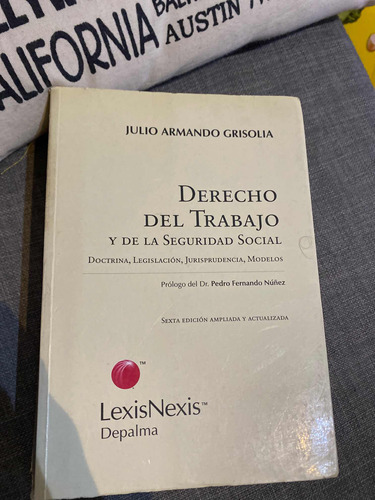 Libro Derecho Del Trabajo Y De La Seguridad Social