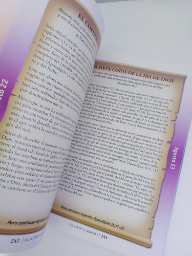 Toda La Biblia En Un Año - John Stott (g) (Usado)