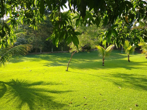 Chacara-para-venda-em-centro-tatui-sp - 155