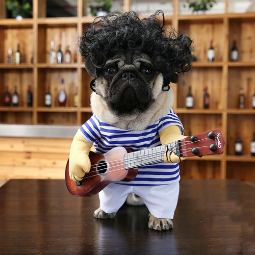 Perro Mascota Guitarrista Ropa Divertido Guitarra Disfraz Ba 