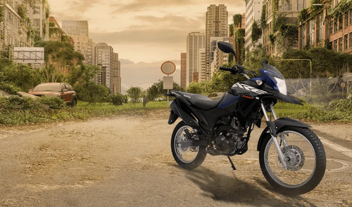 Imagen 5 de 7 de Honda Xre 190