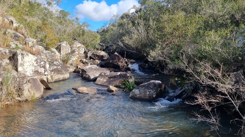 Oportunidad Chacras 5 Hectareas En Maldonado. Sierras De Aigua, Ruta 109. Con Arroyo, Cañadas, Monte Nativo.