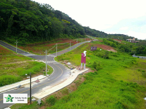 Imagem 3 de 7 de Terreno À Venda No Bairro Centro - Nova Veneza/sc - 594