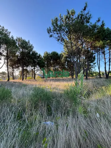 Terrenos En Venta Financiados Últimos En Montes De Solymar