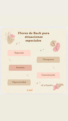 Terapia Floral Transpersonal