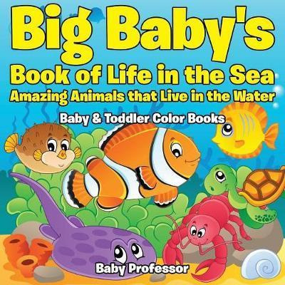 Libro Big Baby's Book Of Life In The Sea - Baby Professor