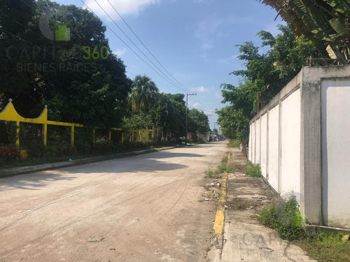 Imagen 10 de 12 de Terreno - El Torito