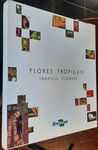 Flores Tropicais - Daniel Terao - Ana Cristina Carvalho