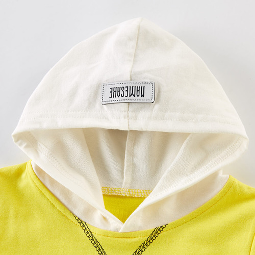 Conjunto De Sudadera Con Capucha Y Pantalón Para Niños Amarillo 18-24 M