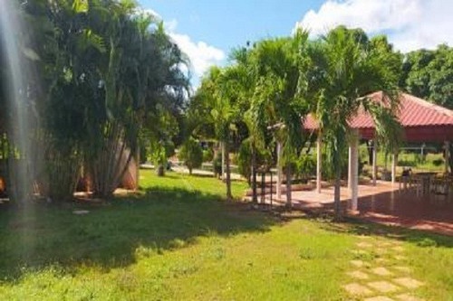 Imagen 7 de 7 de Granja De Una Hectaria De Terreno En Venta Via El Aeropuerto Mdm
