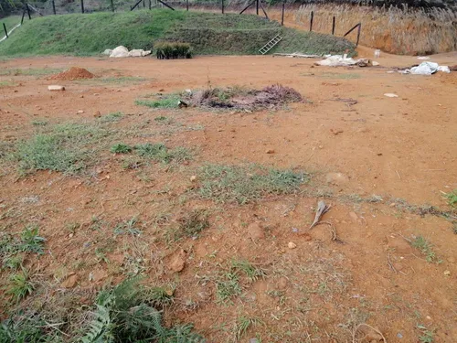 Lindos Lotes En Venta Guarne