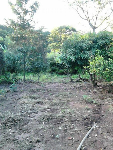 Imagem 10 de 10 de Terrenos - Ref: V4690