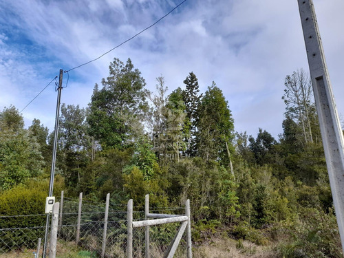 Parcela En Venta - Lomas De Monte Verde