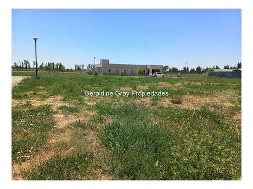 Imagen 8 de 11 de Lotes En Venta De 1500 M2 En Barrio Privado Estilo Chacra, Cipolletti