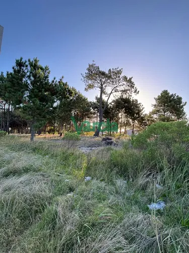 Terrenos En Venta Financiados Últimos En Montes De Solymar