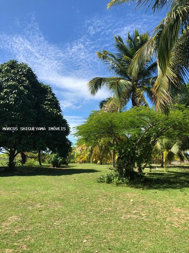 Imagem 6 de 15 de Sítio / Chácara Para Venda Em Camaçari, Monte Gordo (monte Gordo) - Da0117_2-1403407
