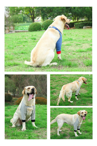 Rodilleras For Mascotas Coderas For Perros Espinilleras