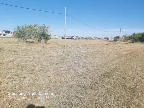 Imagen 7 de 14 de Lote En Venta En Canning