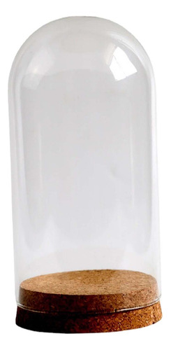 Vitrina De Cristal Transparente Con Cubierta De 9cmx20cm
