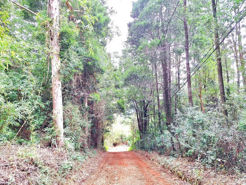 Altos De Punucapa Sector Chabelita, Oportunidad