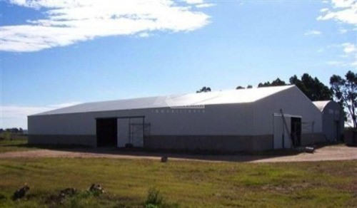 Imagen 12 de 16 de Local Galpon Deposito Colonia Nicolich Alquiler Ruta 101 Y Ruta 102 A 2km Aeropuerto Y 25km Puerto