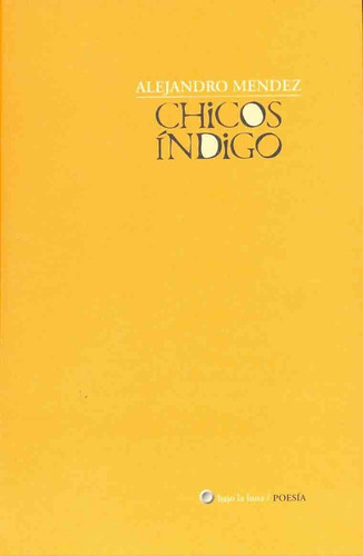 Chicos Indigo, De Alejandro Méndez. Editorial Bajo La Luna, Edición 1 En Español