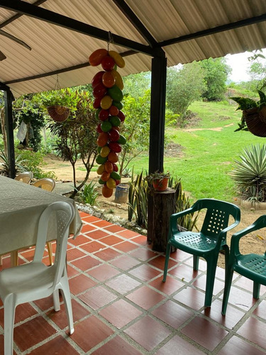 Imagen 19 de 30 de Agua De Dios - Finca De Produccion En Venta