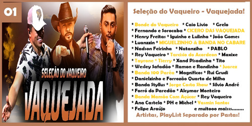 Pen Drive (music) - Seleção Do Vaqueiro Vaquejada