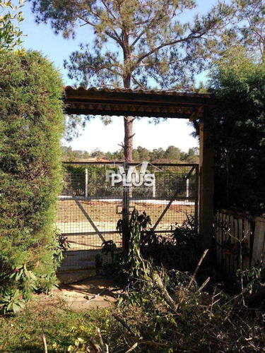 Imagem 18 de 30 de Chácara Com 3 Dorms, Campo Do Meio, Araçoiaba Da Serra - R$ 460 Mil, Cod: 109856 - V109856