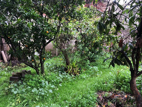 Terreno En Excelente Sector Ideal Para Proyecto Inmobiliario